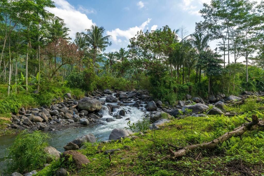 Promenade dans la Nature balinéaise