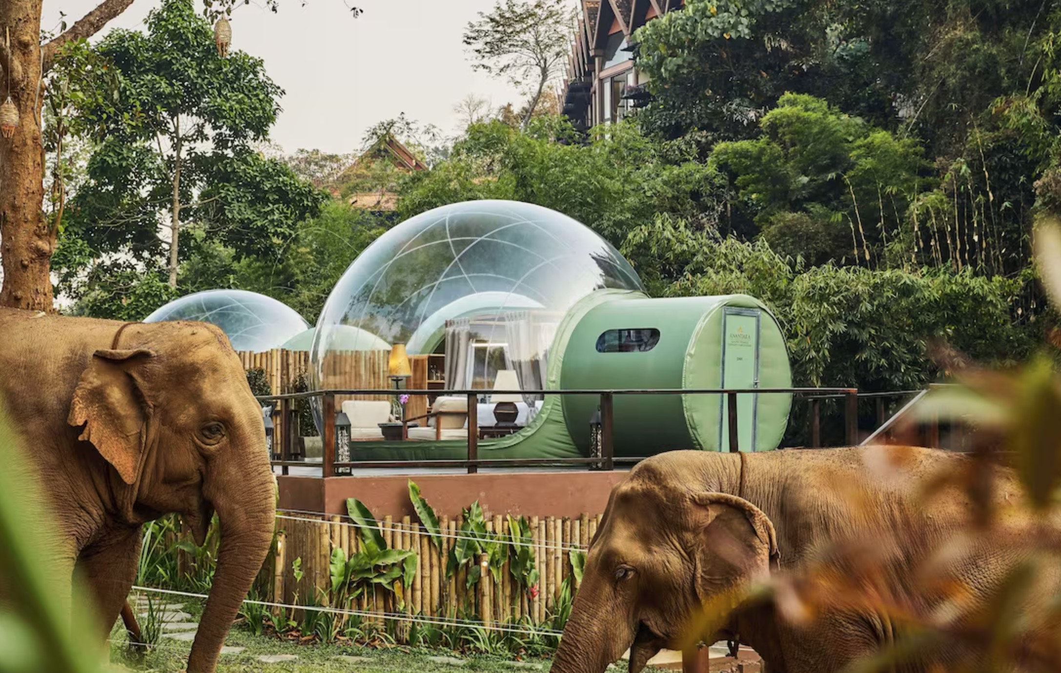 Anantara Golden Triangle Elephant Camp