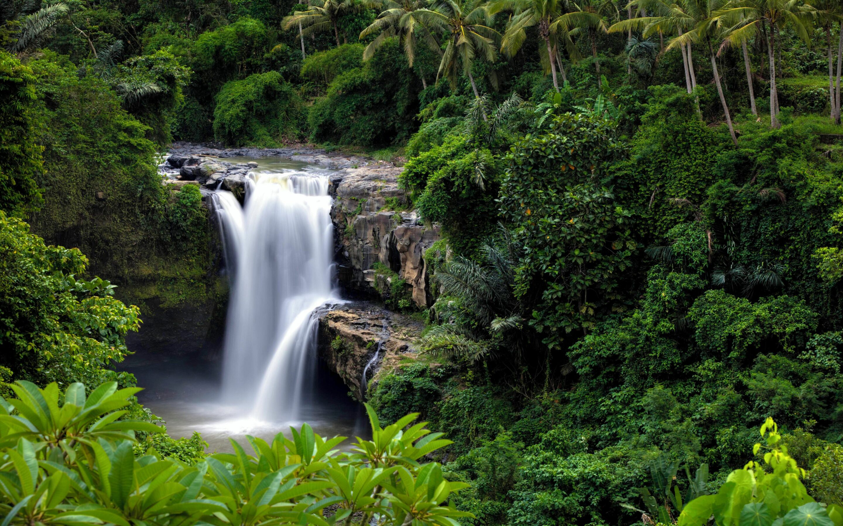 Chute d'eau riviere bali