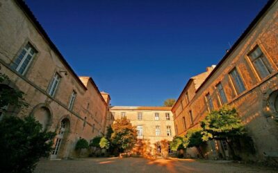 Découverte du Domaine de la Famille Fabre : un joyau viticole du Languedoc