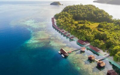 Papua Paradise Eco Resort : L’évasion luxueuse et sauvage à Pulau Birie
